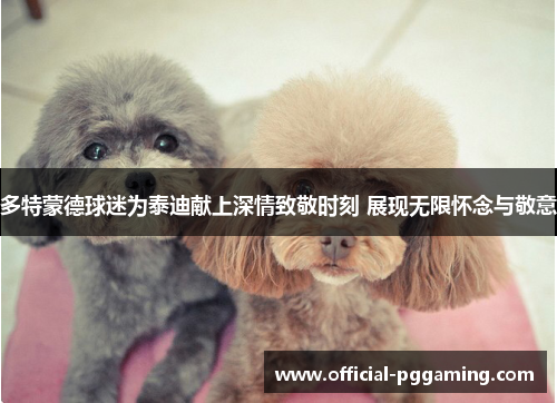 多特蒙德球迷为泰迪献上深情致敬时刻 展现无限怀念与敬意