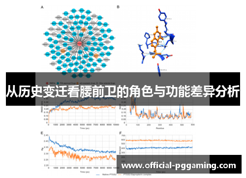 从历史变迁看腰前卫的角色与功能差异分析